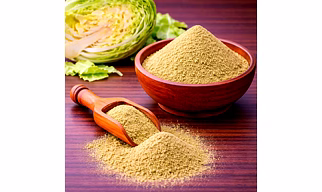 Cabbage Powder for Wholesale Supply, Distribution, and Global B2B Procurement | Dehydrated Vegetable Powder