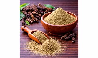 Thippili Powder for Wholesale Supply, Distribution, and Global B2B Procurement | Dry Herbal Powder