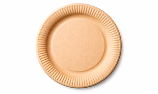 Plain Paper Plate for Wholesale Supply, Distribution, and Global B2B Procurement