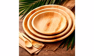 Areca Leaf Plates 8,10,12 Inches for Wholesale Supply, Distribution, and Global B2B Procurement