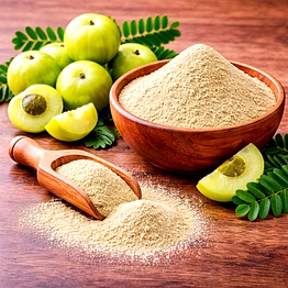 sri bairavar amla powder for wholesale supply, distribution, and global b2b procurement | herbal powders - traditional