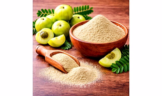 Amla Powder for Wholesale Supply, Distribution, and Global B2B Procurement | Herbal Powders - Traditional