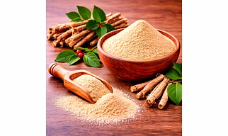 Aswagantha Powder for Wholesale Supply, Distribution, and Global B2B Procurement