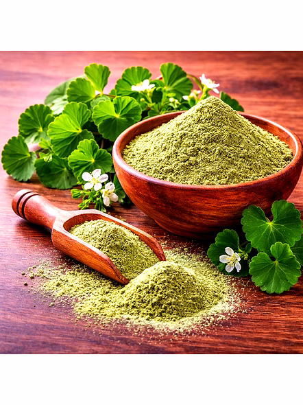Brahmi Powder for Wholesale Supply, Distribution, and Global B2B Procurement | Herbal Powders - Traditional