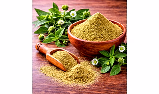 Bhringa Powder for Wholesale Supply, Distribution, and Global B2B Procurement | Herbal Powders - Traditional