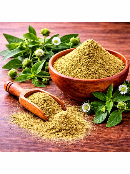 Bhringa Powder for Wholesale Supply, Distribution, and Global B2B Procurement | Herbal Powders - Traditional