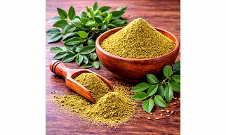 Henna Powder for Wholesale Supply, Distribution, and Global B2B Procurement | Herbal Powders - Traditional