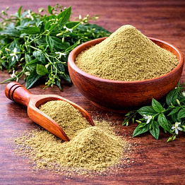 sri bairavar nilavembu powder for wholesale supply, distribution, and global b2b procurement | herbal powders - traditional