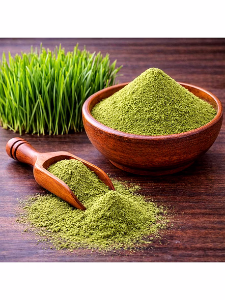 Wheet Grass Powder for Wholesale Supply, Distribution, and Global B2B Procurement