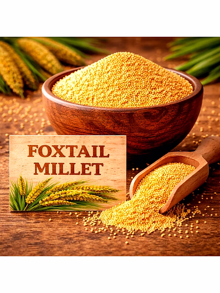 Organic Foxtail Millet for Wholesale Supply, Distribution, and Global B2B Procurement
