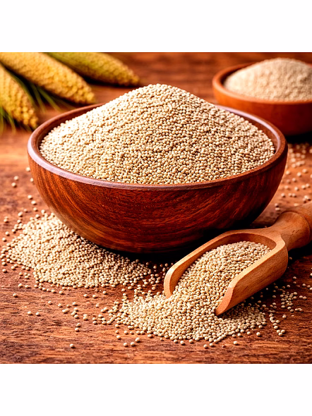 Pearl Millet Bajra for Wholesale Supply, Distribution, and Global B2B Procurement