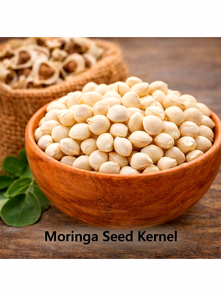 Moringa Seed Kernel for Wholesale Supply, Distribution, and Global B2B Procurement