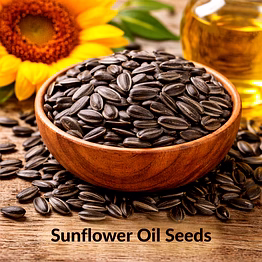 sri bairavar sunflower oil seeds for wholesale supply, distribution, and global b2b procurement