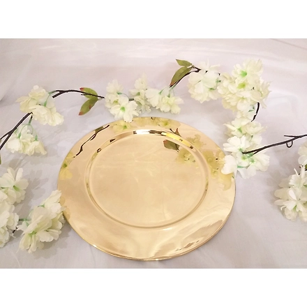 Charger Plate-11491670