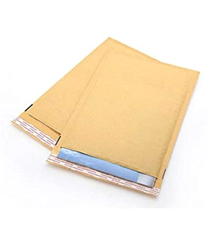 Paper mailing bag-3