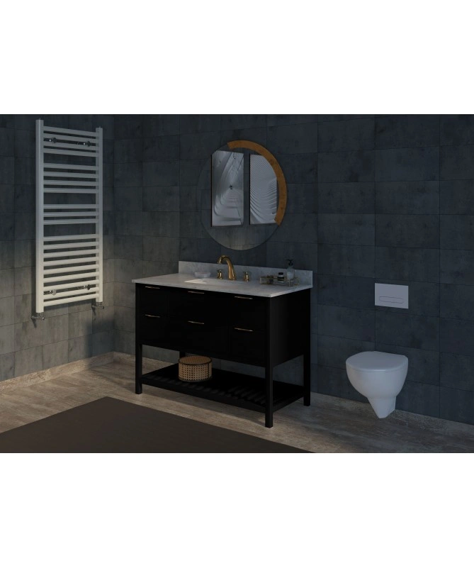 48 Inch Black Bathroom Vanity-Floor-Mounted-1