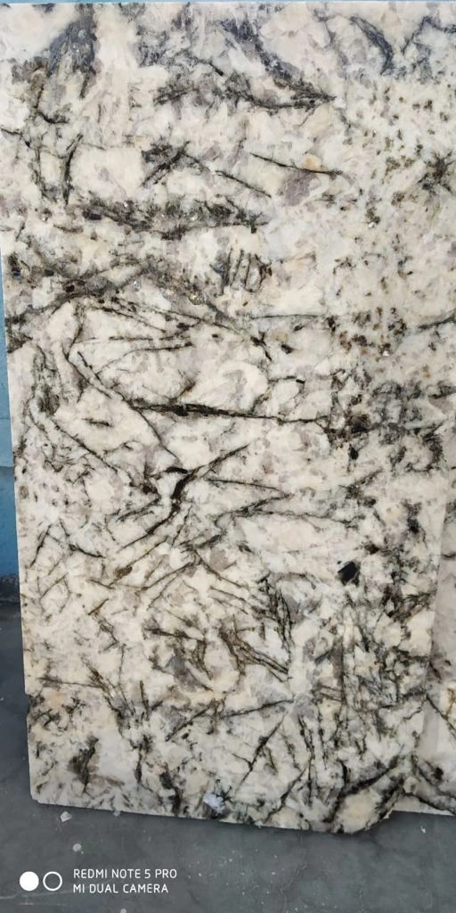 Alaska White Slabs and Counter tops for Kitchen Bathroom Vanity-Alaska White-2 cm-2