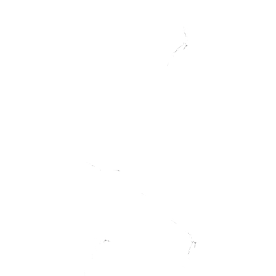 ONYX BIANCO-Wh1776