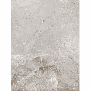 BRECCIA SILVER