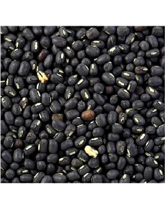 Sabut Urad-1