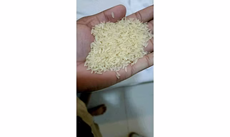 Ir 64 Parboiled Rice