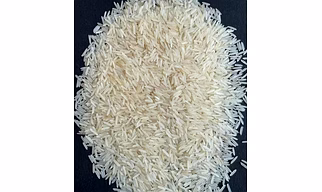 Non Basmati Rice Kolam,Jirasar,Gujrat17