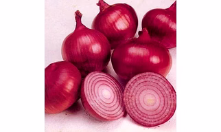 Fresh Red Onion