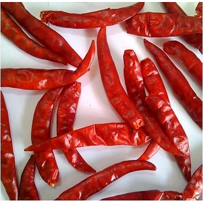 jivandeep s17 teja dry red chilly