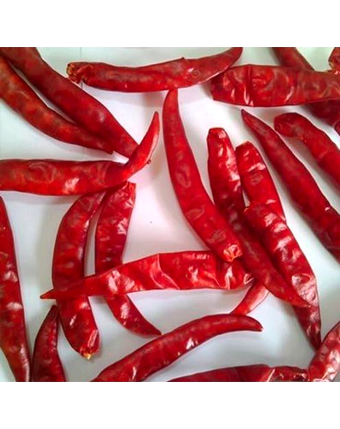 S17 teja dry red chilly-3
