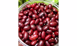Red Rajma
