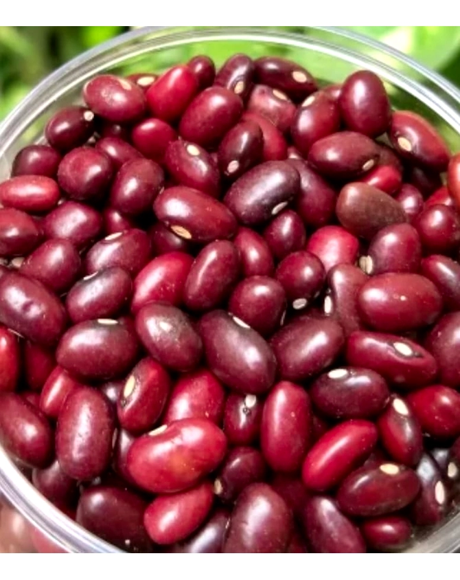 Red Rajma-12380584