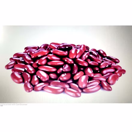 Red Rajma-1