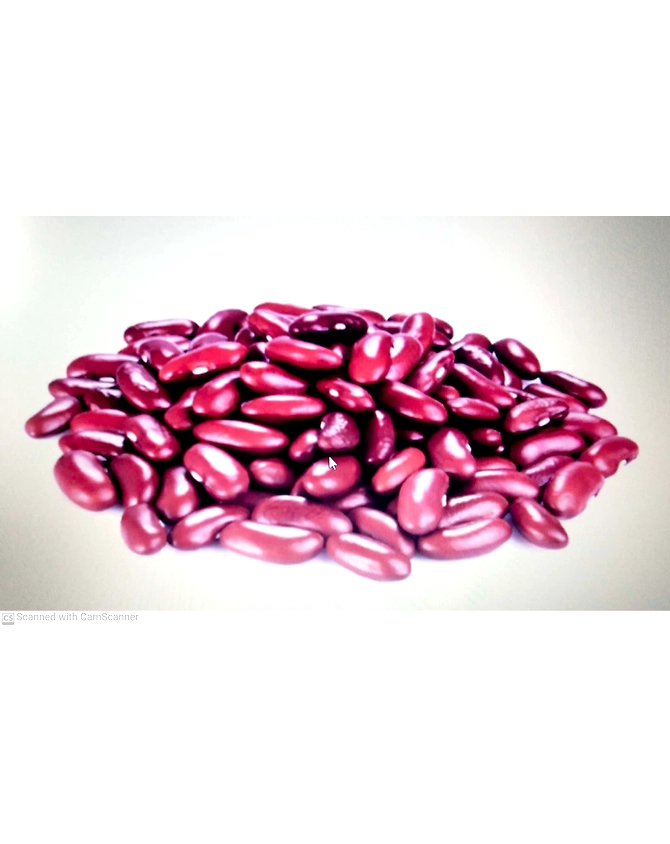 Red Rajma-3