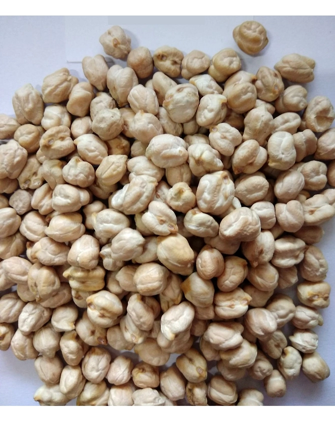 Kabuki Chana-1