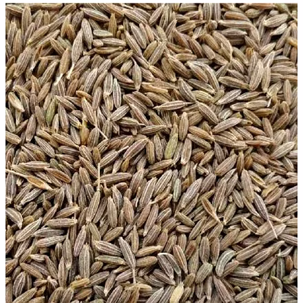 Jivandeep Cumin Seed - IPM Premium Quality Spice for Culinary Enthusiasts-1