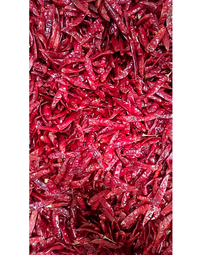 S17 teja dry red chilly-2