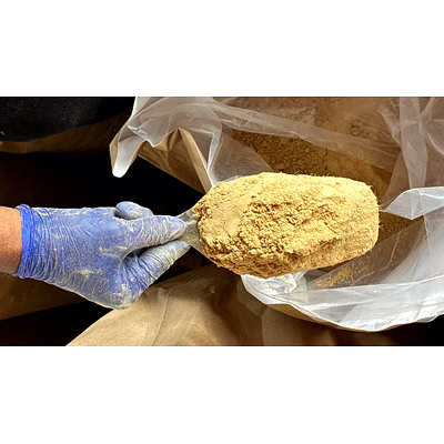 jivandeep ginger powder