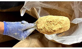 Ginger Powder