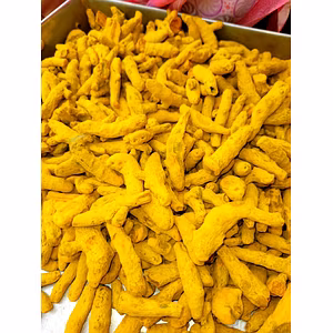 Premium Organic Turmeric Finger - Fresh and Aromatic