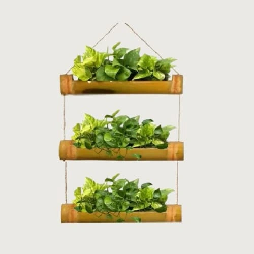 Three Steps Bamboo Planter-11509428