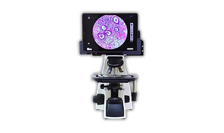 Microscope