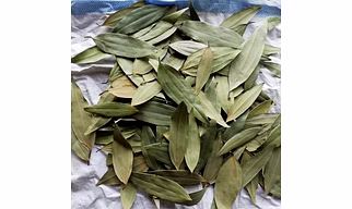Bay Leaf