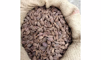 Black Cardamom