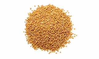 Yellow Mustard Seeds