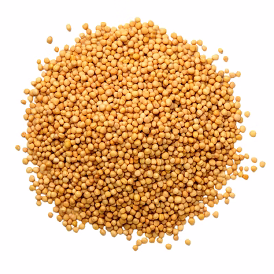 yellow mustard seeds