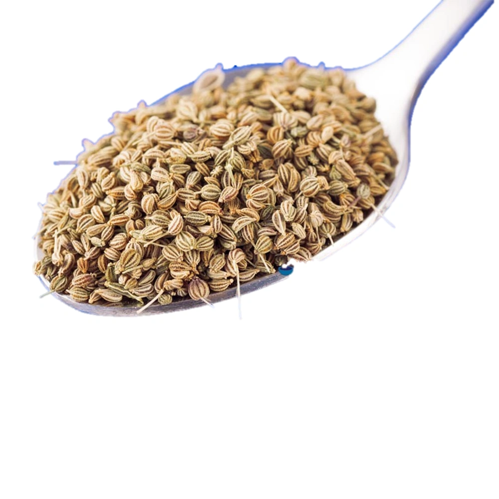 Ajwain-MARS029