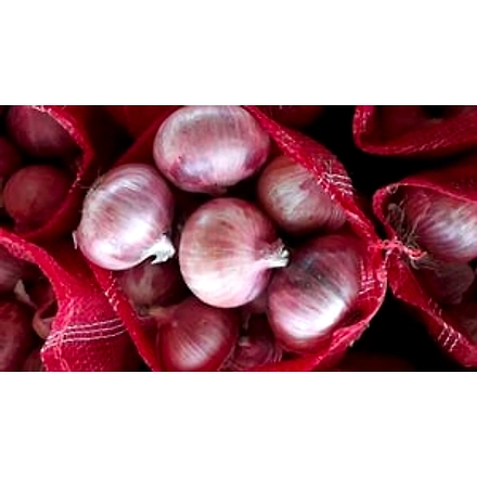 Onions-4
