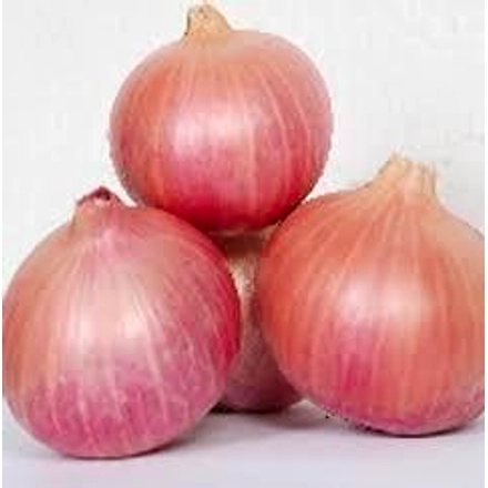 Onions-2