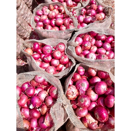 Onions-3