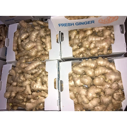 Ginger-4